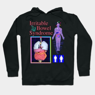 Irritable Bowel Syndrome - 90's 2000's Y2K CGI 3D Video Game Graphics PooCore Hoodie